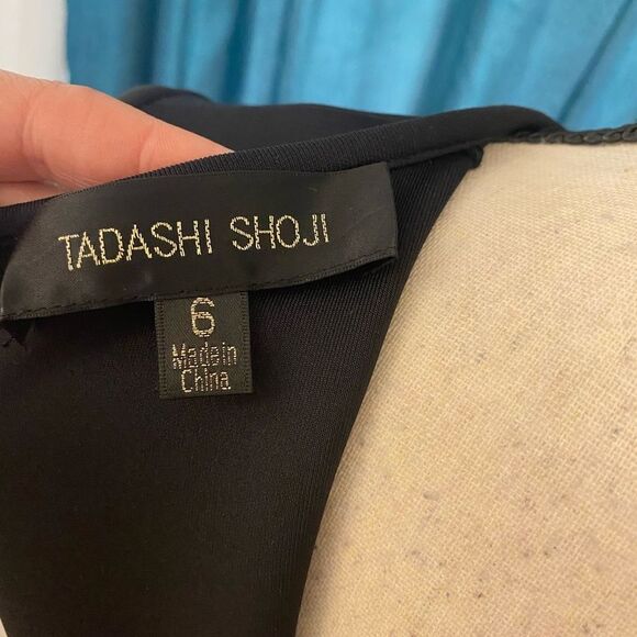 Tadashi Shoji lace dress, size 6 - Picture 2 of 10